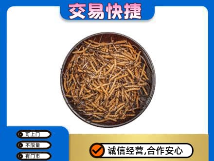 连云港回收散虫草